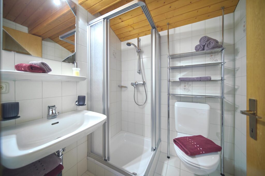 Badezimmer Alpenblühn Appartements Tschagguns