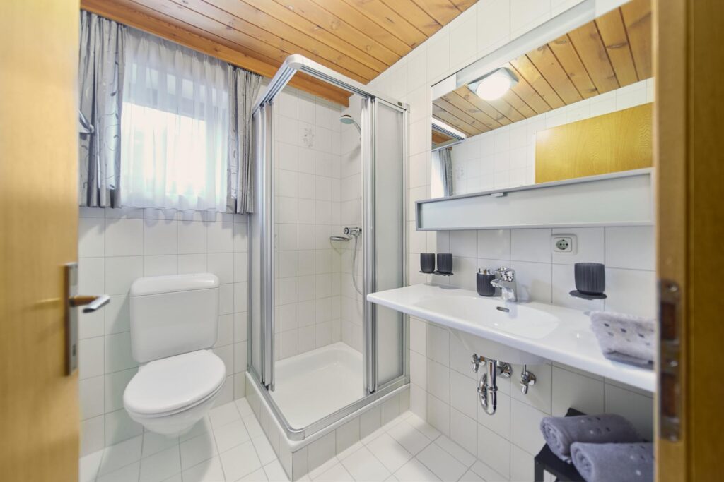 Badezimmer Alpenblühn Appartements Tschagguns